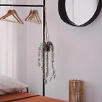 Apartamento Casetta *
